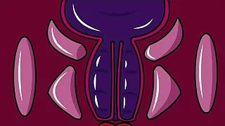 Eyaculacion interna &num;9 &lpar; animacion&rpar;